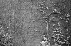 113_Ecowijk_Antwerpen_11