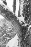 206_Sneeuw-in-Zuidoost_4